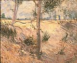 Vincent Van Gogh Famous Paintings - Arbre dans un champ 1887